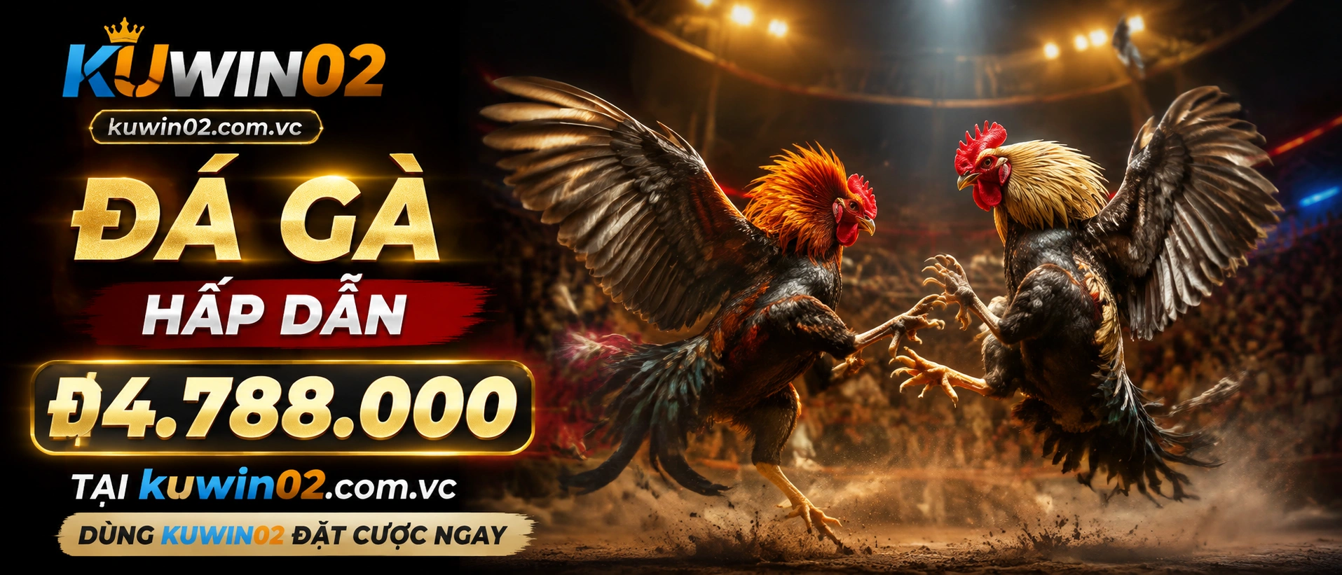 Khu nội dung Đá Gà Cựa Sắt với giao diện hiện đại